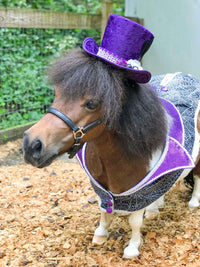 Cobweb Couture - Halloween Costume with Top Hat and Spooky Cobweb Jacket and Coattails.