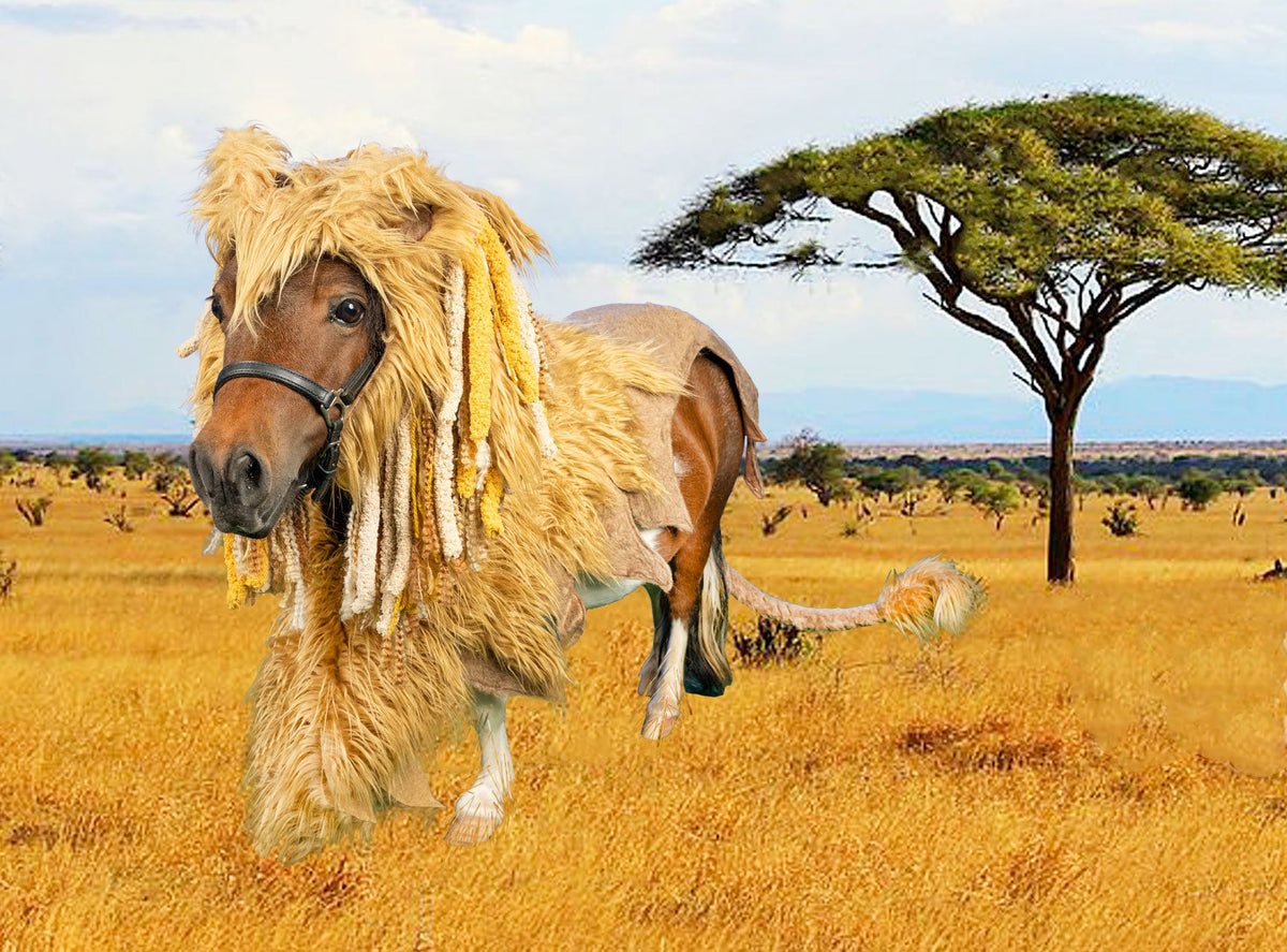 The Mini King -  Lion Costume for Mini Horse with Furry Mane and Tail