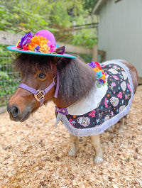 Mini de los Muertos -  Day of the Dead costume with hat, cape and tail fascinator for Mini Horse