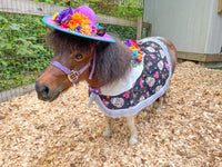 Mini de los Muertos -  Day of the Dead costume with hat, cape and tail fascinator for Mini Horse