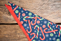 Candy Cane Cascade - Cowboy Hat and Bandana for Mini Horse