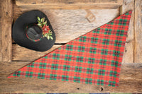 Tinsel and Tartan - Christmas Cowboy Hat and Bandana for Mini Horse
