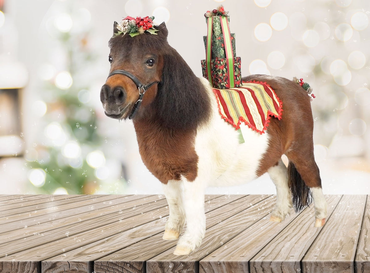 Santa's Little Helper - Costume with Triple Gift saddle plus Mane and Tail Fascinator for Mini Horse