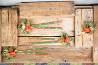 Rah-Pa-Pa-Pum - Set of Four Christmas Fascinators and Ribbons for Mini Horse