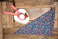 Candy Cane Cascade - Cowboy Hat and Bandana for Mini Horse