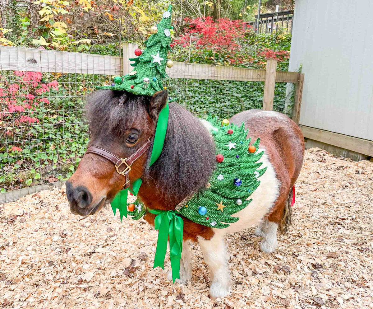 All Spruced Up - Christmas Tree Costume with Hat, Cape and Tail Fascinator for Mini Horse