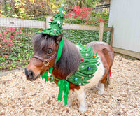 All Spruced Up - Christmas Tree Costume with Hat, Cape and Tail Fascinator for Mini Horse