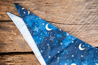 Wandering Star - Hat and Bandana for Mini Horse