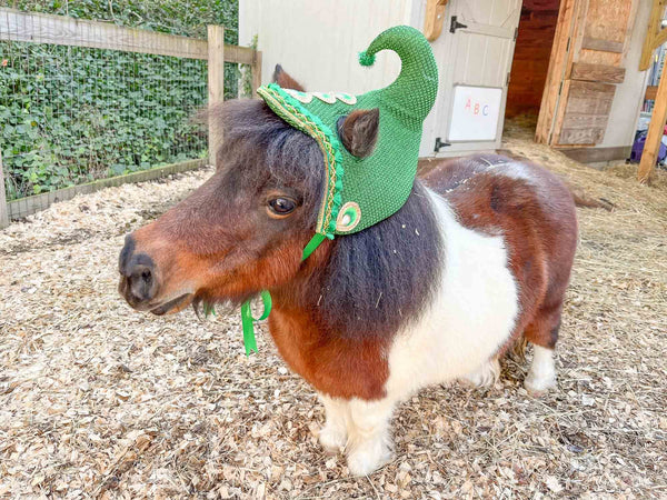 Elf Help - Christmas Elf Hat for Miniature Horse