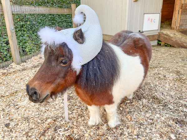 Snow Cone - Christmas Elf Hat for Miniature Horse