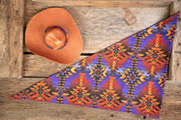 Copper Canyon Sunset - Navajo Cowboy Hat and Bandana for Mini Horse
