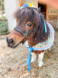 Chirp and Whinny -  Straw Hat, Shawl and Tail Fascinator for Miniature Horse
