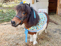 Chirp and Whinny -  Straw Hat, Shawl and Tail Fascinator for Miniature Horse
