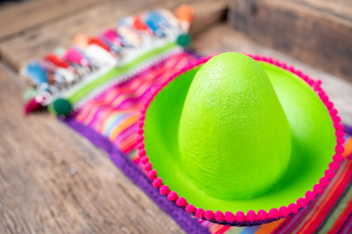 Mini Mariachi - Lime and Hibiscus - Mini Sombrero Hat and Saddle Blanket for Mini Horse