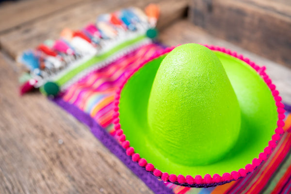 Mini Mariachi - Lime and Hibiscus - Mini Sombrero Hat and Saddle Blanket for Mini Horse