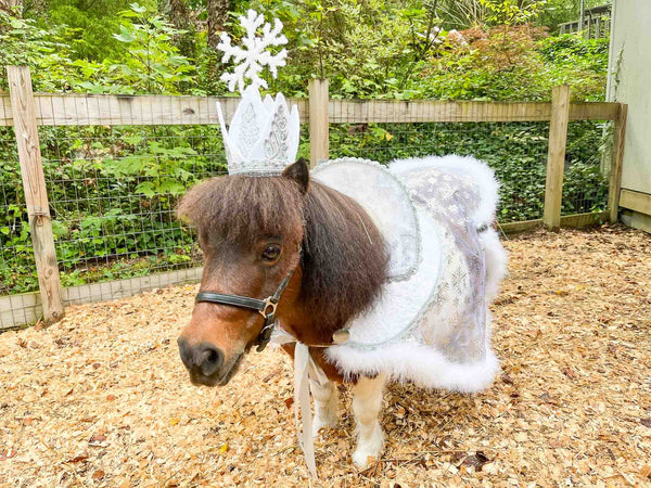 Snow Queen - Costume with Snowflake Head Piece and Regal Christmas Cape for Mini Horse