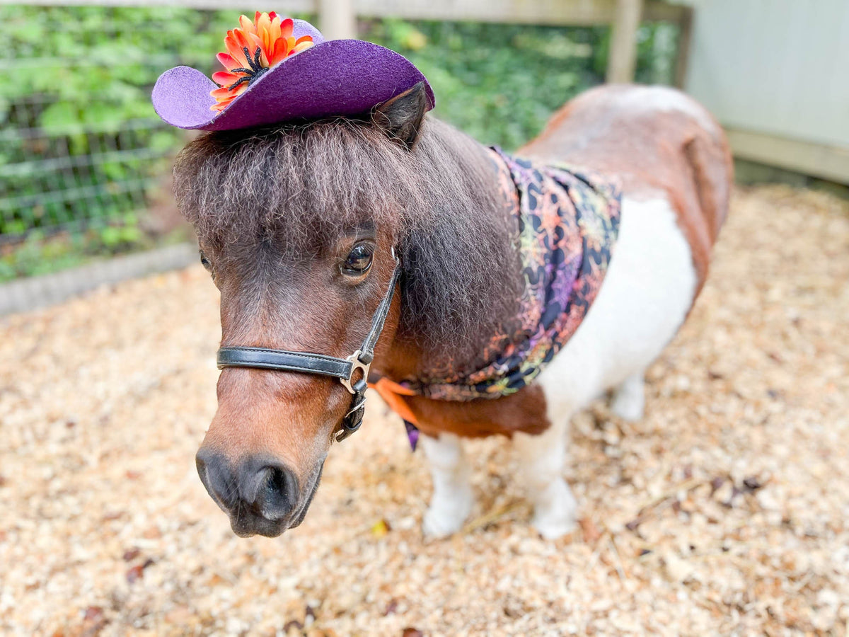 Web Slinger - Cowboy Hat and Bandana for Mini Horse