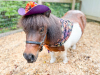 Web Slinger - Cowboy Hat and Bandana for Mini Horse