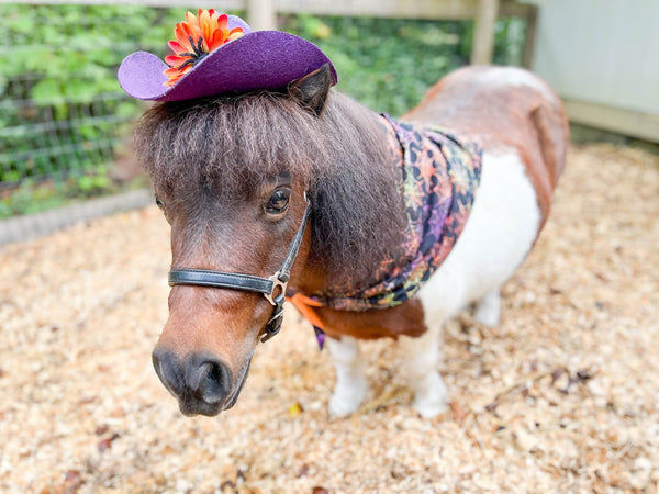 Web Slinger - Cowboy Hat and Bandana for Mini Horse