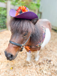 Web Slinger - Cowboy Hat and Bandana for Mini Horse
