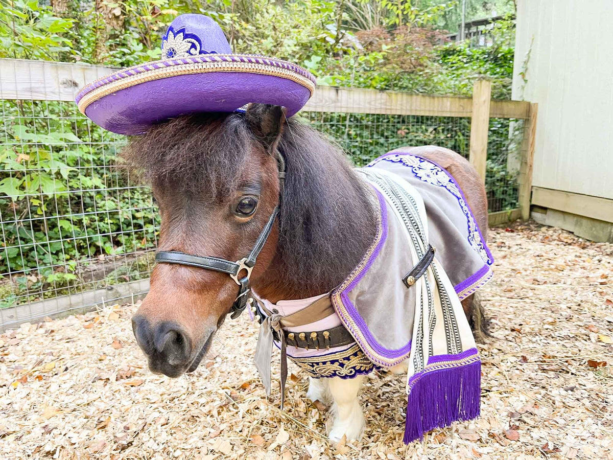 Bandito Royale - Bandito Set with Sombrero, Shirt, Saddle Blanket and Bullet Bandolier