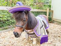 Bandito Royale - Bandito Set with Sombrero, Shirt, Saddle Blanket and Bullet Bandolier