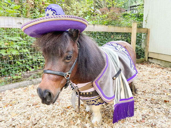 Bandito Royale - Bandito Set with Sombrero, Shirt, Saddle Blanket and Bullet Bandolier