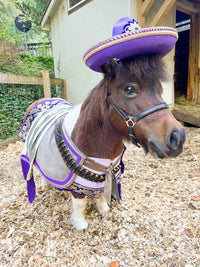 Bandito Royale - Bandito Set with Sombrero, Shirt, Saddle Blanket and Bullet Bandolier