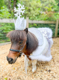 Snow Queen - Costume with Snowflake Head Piece and Regal Christmas Cape for Mini Horse