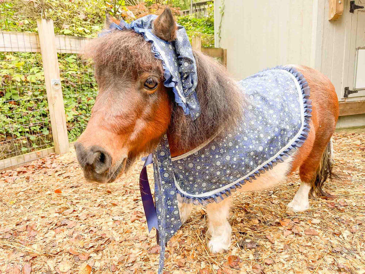 Snowstorm Before Christmas - Costume with Bonnet, Cape and Tail Fascinator for Mini Horse