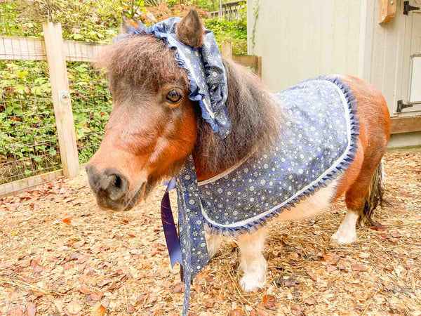 Snowstorm Before Christmas - Costume with Bonnet, Cape and Tail Fascinator for Mini Horse