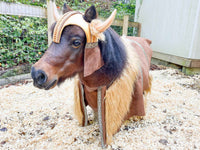 Norse Horse - Viking Costume for Mini Horse with Horned Helmet and Barbarian Cape