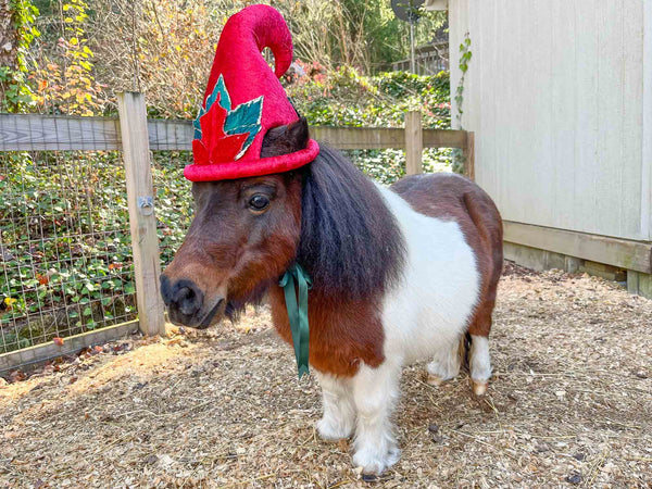 Red Velvet - Christmas Elf Hat for Miniature Horse