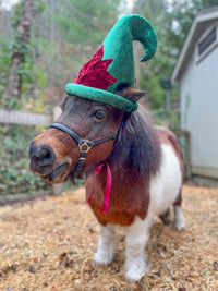 Evergreen Elf - Christmas Elf Hat for Miniature Horse