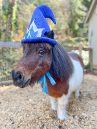 Midnight Twinkle - Christmas Elf Hat for Miniature Horse