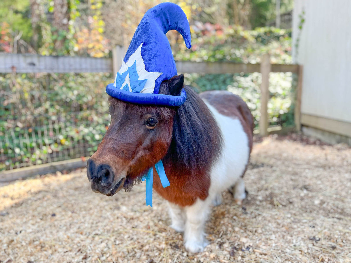 Midnight Twinkle - Christmas Elf Hat for Miniature Horse