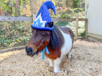 Midnight Twinkle - Christmas Elf Hat for Miniature Horse