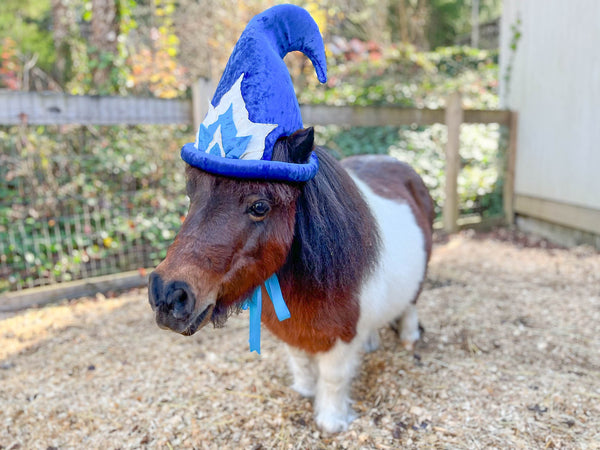 Midnight Twinkle - Christmas Elf Hat for Miniature Horse