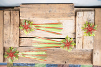 Spruce and Ruby - Set of Four Christmas Fascinators with Ruby Snowflake, Spruce and Ribbons for Mini Horse