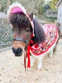 Chocolate and Roses - Valentine Costume with Bonnet, Cape and Tail Fascinator for Mini Horse