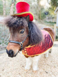 Romeo at the Ritz - Costume with Hat and Tuxedo Vest for Mini Horse