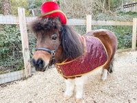 Romeo at the Ritz - Costume with Hat and Tuxedo Vest for Mini Horse