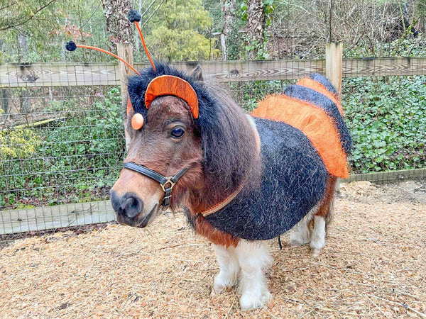 Cantering Caterpillar -  Caterpillar Costume with Antennaed Hat and Fuzzy Abdomen Cape for Mini Horse