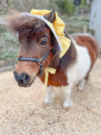 Zesty Besty - Prairie Hat for Mini Horse