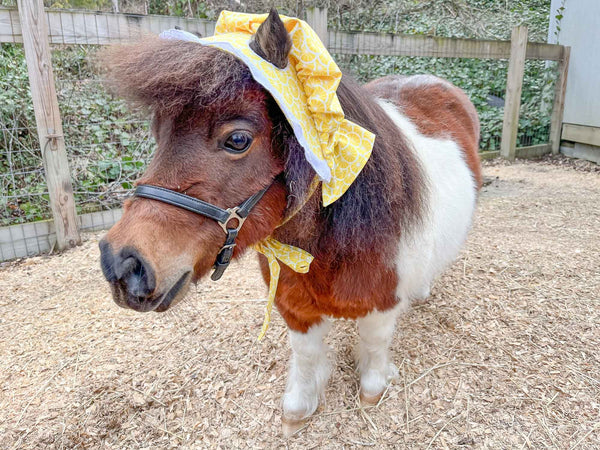Zesty Besty - Prairie Hat for Mini Horse