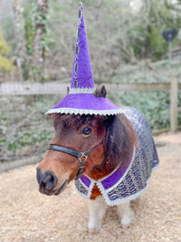 Mini Merlin -  Wizard Outfit with hat and cape for Mini Horse