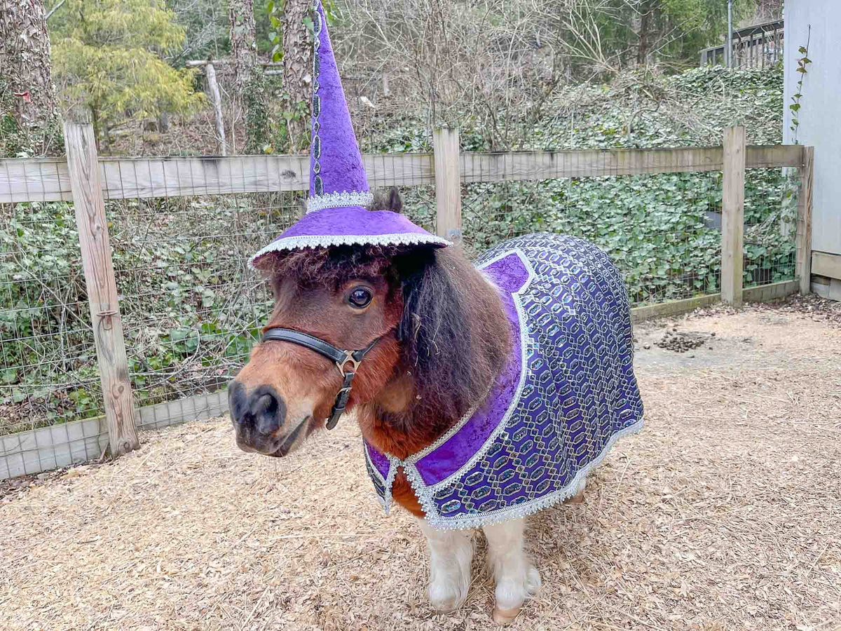 Mini Merlin -  Wizard Outfit with hat and cape for Mini Horse