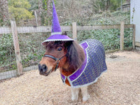 Mini Merlin -  Wizard Outfit with hat and cape for Mini Horse