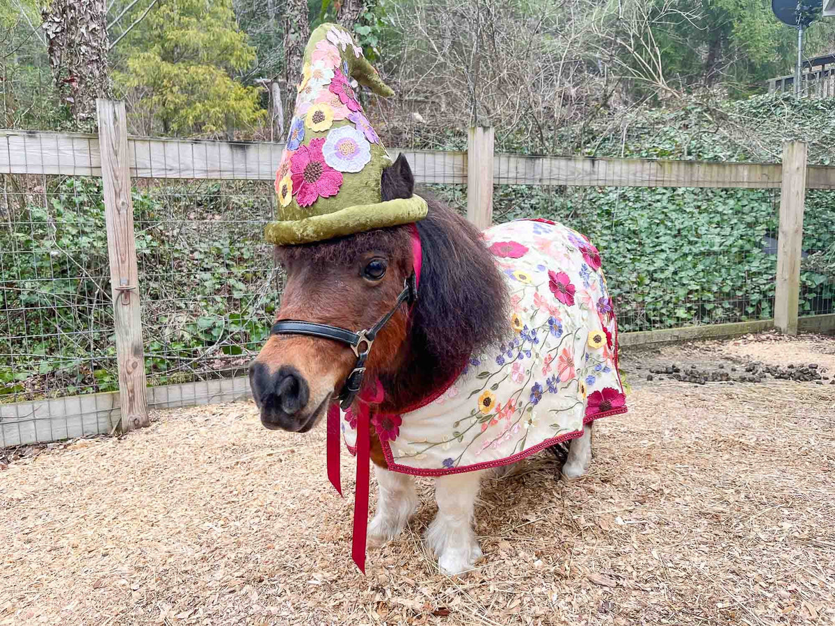 Fantasia Florale - Flower Fairy Costume for Miniature Horse