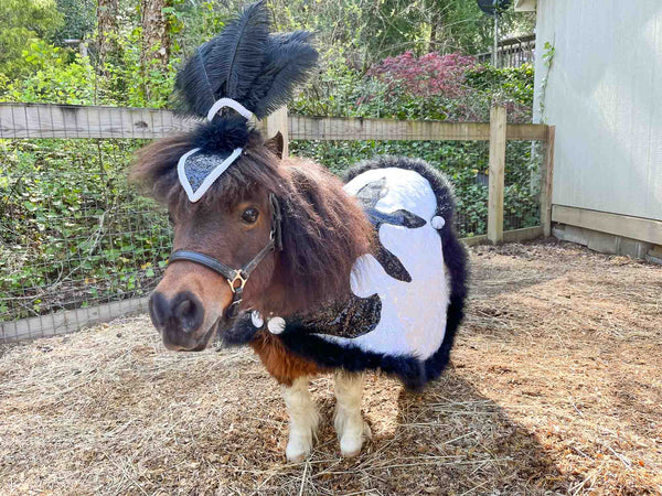 Cantering Cabaret - Feathered Headdress, Cape and Tail Fascinator for Mini Horse